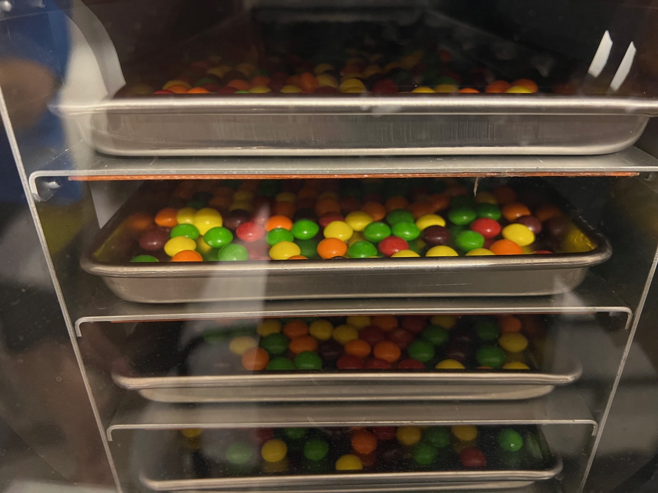 Trays inside the freeze dryer